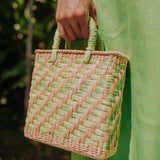 Merida - Small - Spring
